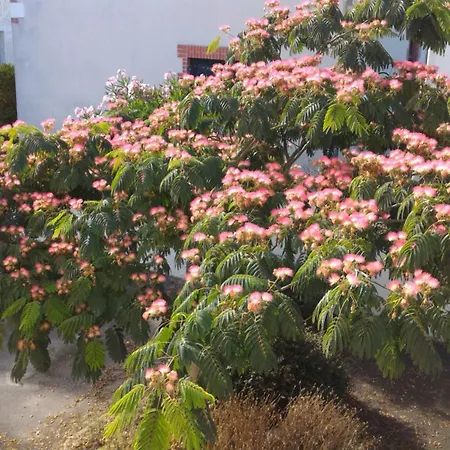 Appartement Benoît - 25m, 4 Personnes, Balcon La Baule-Escoublac