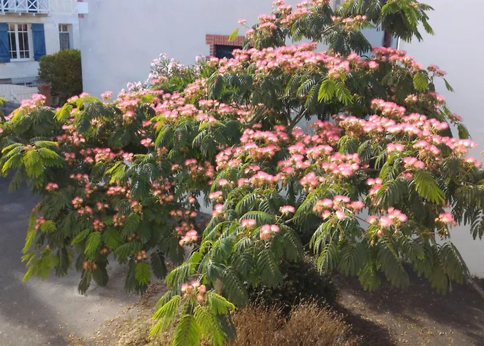 Апартаменты Benoit - 25m, 4 Personnes, Balcon Ла-Боль-Эскублак